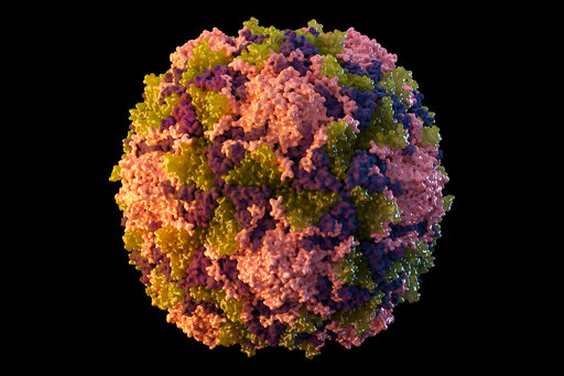 FILE - This 2014 illustration made available by the U.S. Centers for Disease Control and Prevention depicts a polio virus particle. The polio virus has been found in New York City&rsquo;s wastewater in another sign that the disease, which hadn&rsquo;t been seen in the U.S. in a decade, is quietly spreading among unvaccinated people, health officials said Friday, Aug. 12, 2022. (Sarah Poser, Meredith Boyter Newlove/CDC via AP, File)