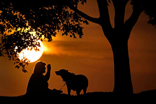 FILE - A woman plays with a dog at sunset, Saturday, Nov. 6, 2021, at a park in Kansas City, Mo. In August 2022, health officials are warning people who are infected with monkeypox to stay away from household pets, since the animals could be at risk of catching the virus. (AP Photo/Charlie Riedel, File)