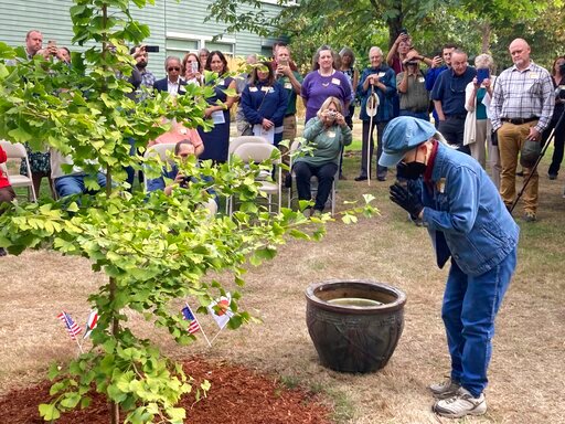 Hideko Tamura Snider, a survivor of the atomic bombing of Hiroshima, Japan, bows on Wednesday, Sept. 21, 2022, in Salem, Ore, before watering a ginkgo tree that came from a seed of a tree that also survived the bombing. Tamura Snider, who was 10-years-old when her city was destroyed by the atomic bomb and who now lives in Medford, Ore., was the guest of honor at a ceremony marking the culmination of a four-year-long campaign in Oregon to plant saplings grown from the seeds of trees that survived the atomic bombing of Hiroshima. (AP Photo/Andrew Selsky)