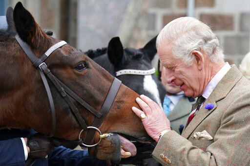 King Charles III feeds carrots to horses as he attends a reception to thank the community of Aberdeenshire for their organisation and support following the death of Queen Elizabeth II at Station Square, the Victoria &amp; Albert Halls, Ballater, United Kingdom, Tuesday Oct. 11, 2022. (Andrew Milligan/pool photo via AP)