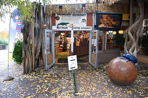 The Skansen Aquarium's entrance, part of the zoo on Djurgarden island, where a deadly snake escaped on Saturday via a light fixture in the ceiling of its glass enclosure, in Stockholm, Sweden, Monday Oct. 24, 2022. A venomous king cobra which escaped from its home in a Swedish zoo six days ago has been located inside the building where its terrarium is located but has not yet been recaptured, the park said Friday, Oct. 28, 2022. (Henrik Montgomery/TT News Agency via AP)