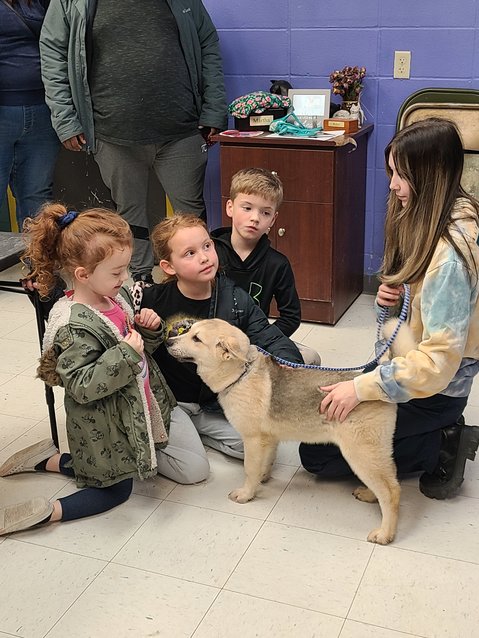 From left, Ella Moore, Everly Moore, and Blake Moore get to pet a tan Carolina pup named Rosebud as SEKHS Facility Administrator Kelsey Keeney holds its leash during the SEK Humane Society junior event on Saturday.