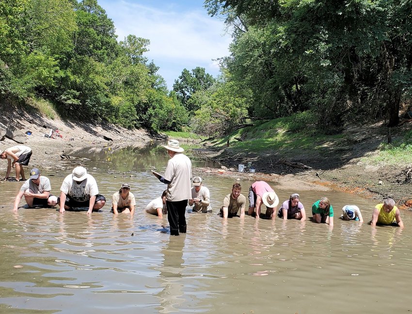 PSU Wildlife and Fisheries Society students dig for freshwater mussels in August 2022 with Threatened and Endangered Species Coordinator Ed Miller.
