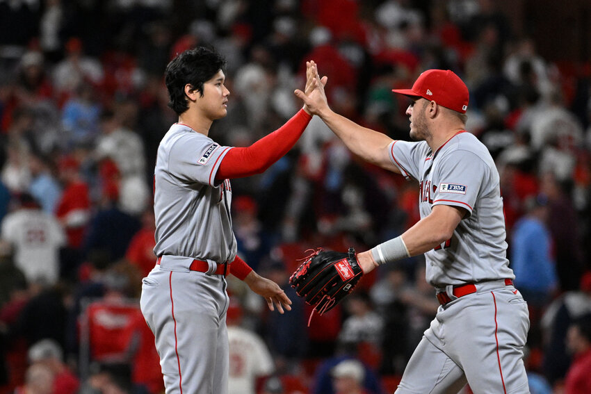 Los Angeles Angels' Shohei Ohtani (left) and Mike Trout celebrate a 6-4 victory over the St. Louis Cardinals on Wednesday night in St. Louis. (AP Photo/Joe Puetz)