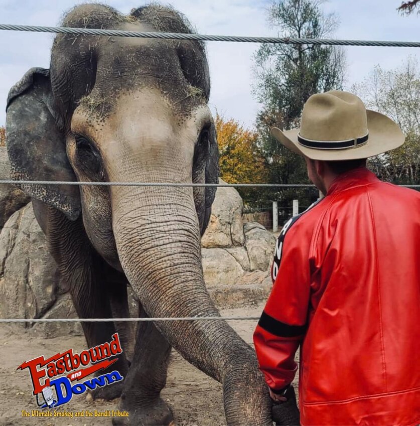 A tribute to Smokey and the Bandit will be held May 27 at the Topeka Zoo. The event will feature Cora, the elephant who played Charlotte in Smokey and the Bandit 2, who now resides at the Topeka Zoo.