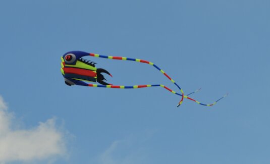 This giant kite, flown by Tom Wallbank of Tulsa, dwarfed the other kites in the air on Saturday. Wallbank is vice president of the American Kitefliers Association.