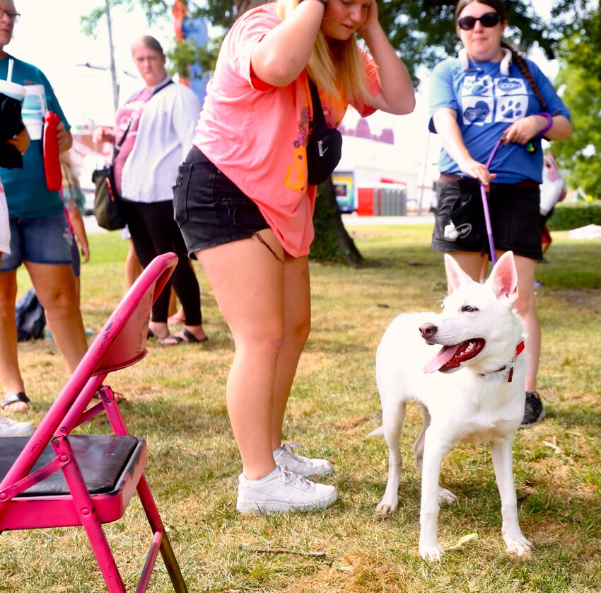 Several dogs from the SEK Humane Society were on display at Frontenac Mining Days this year for an adoption event, held at Corner Park Saturday, July 8.