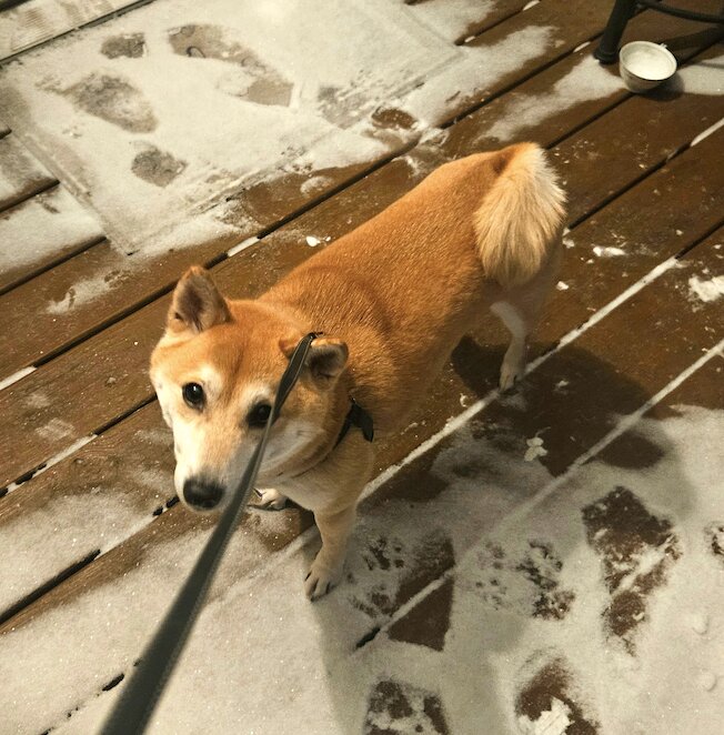 Mom! I hate this! When is spring break? I want to walk at Lakeside again!&nbsp;