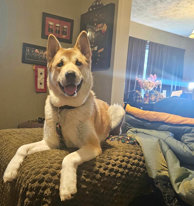 Yumi, our Akita, and I spent two hours outside..but we survived and now are happy indoor kids again!