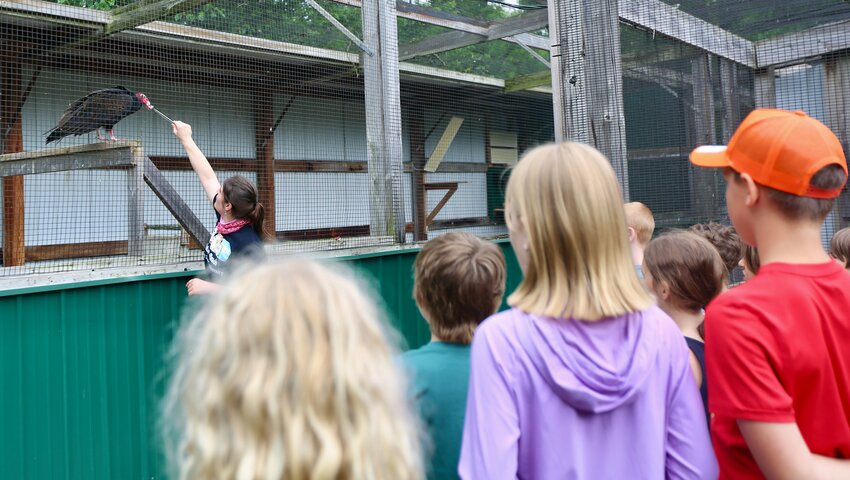 A safe distance away, first through third grade students at this week&rsquo;s Nature Reach Program get the chance to witness the feeding process of a vulture, noting its eating techniques and the details of its head.