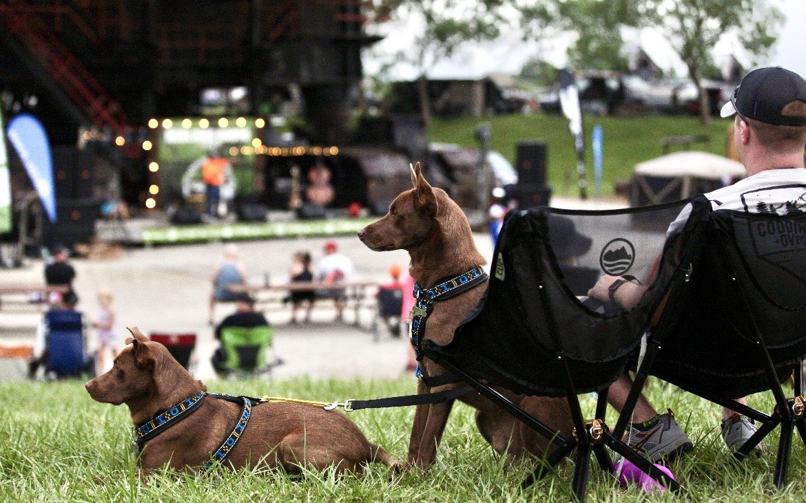 A man and his dogs enjoy the events on Saturday evening at Big Brutus.