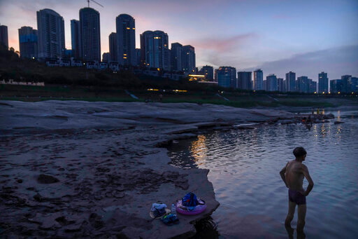 A man stands in shallow water near the dry riverbed of the Yangtze River in southwestern China's Chongqing Municipality, Friday, Aug. 19, 2022. Ships crept down the middle of the Yangtze on Friday after the driest summer in six decades left one of the mightiest rivers shrunk to barely half its normal width and set off a scramble to contain damage to a weak economy in a politically sensitive year. (AP Photo/Mark Schiefelbein)
