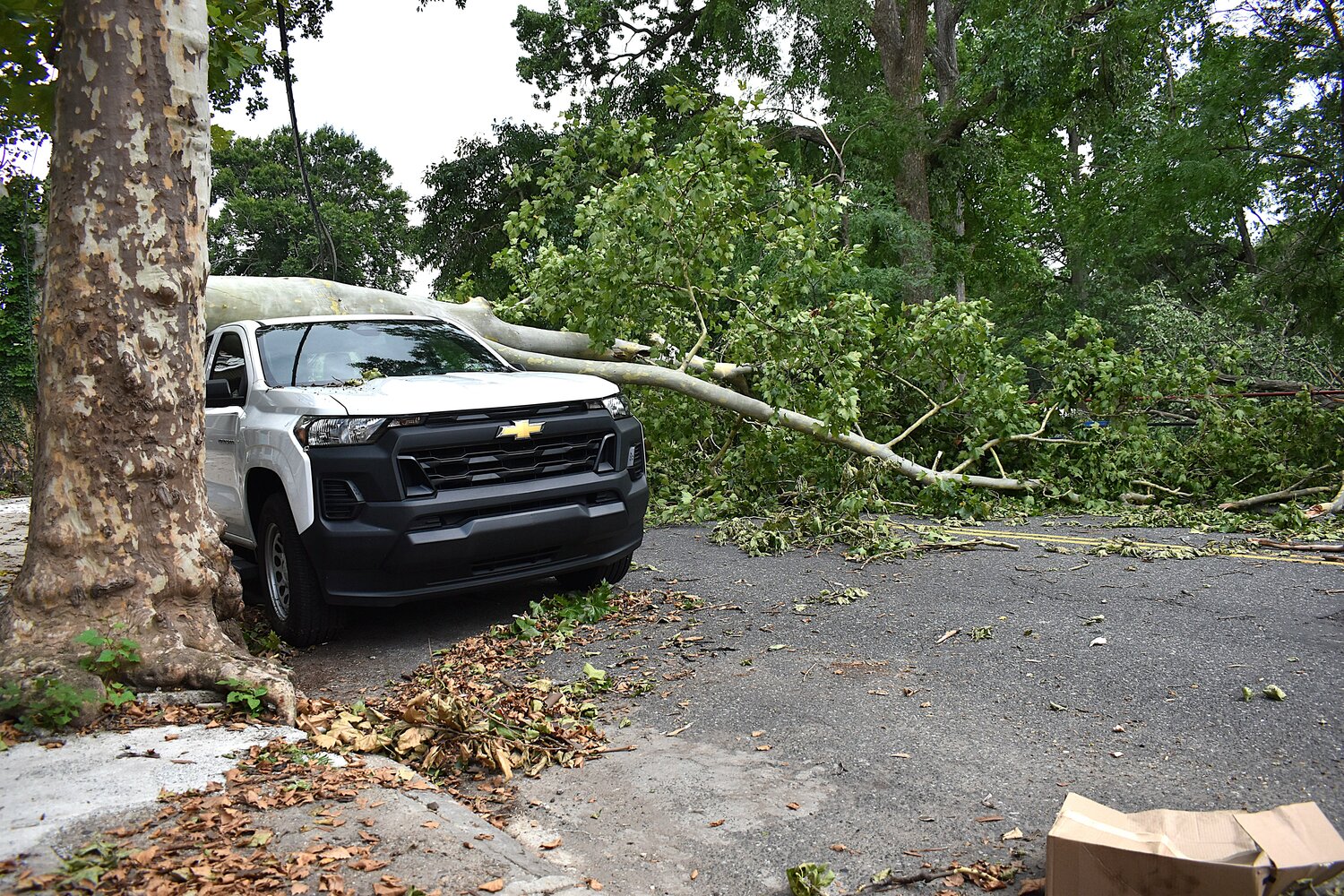 Cleanup continues after damaging winds rock West, South Philly