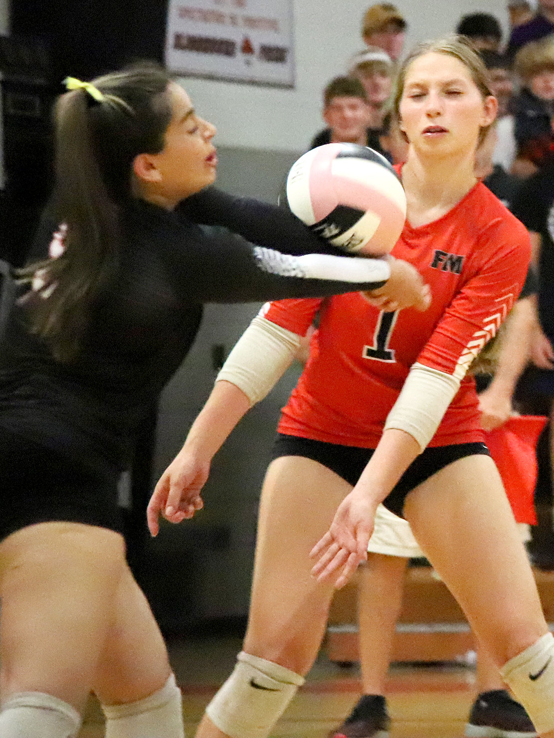 Isabella Boeding handles a ball in the back row in front of the Hounds libero during the second set Tuesday night