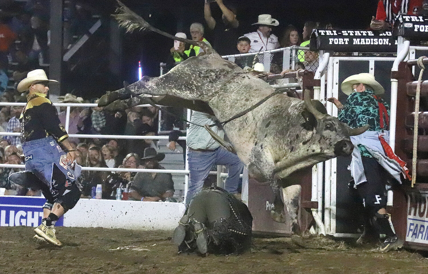 Bullrider Ethan Skogquist gets caught under his bull as bullfighters Dusty Tuckness, left, and Nathan Harp, right, get the animal's attention. Skogquist escaped without injury.