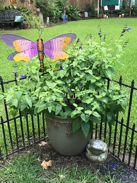 Don&rsquo;t forget about large pots for your yard. This pot is filled with beautiful black/  blue salvia that blooms all summer long. Add some fun metal yard art and you&rsquo;ve  got yourself a real eye catcher.