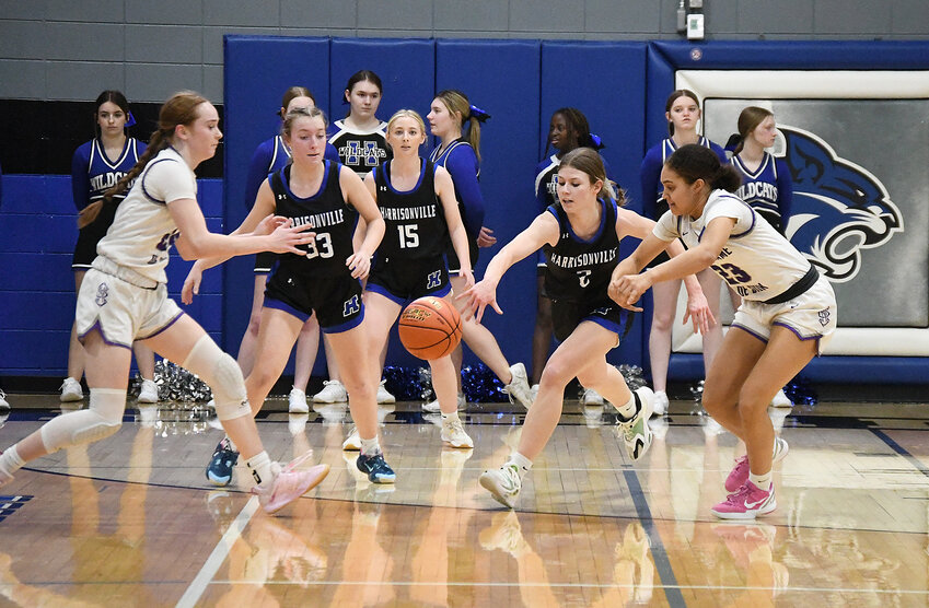 Harrisonville junior Lily Tarwater (2) steals the ball from Notre Dame de Sion freshman Kylenna Potts during last week’s game. Tarwater scored eight points in the Lady Wildcats’ season-ending loss.