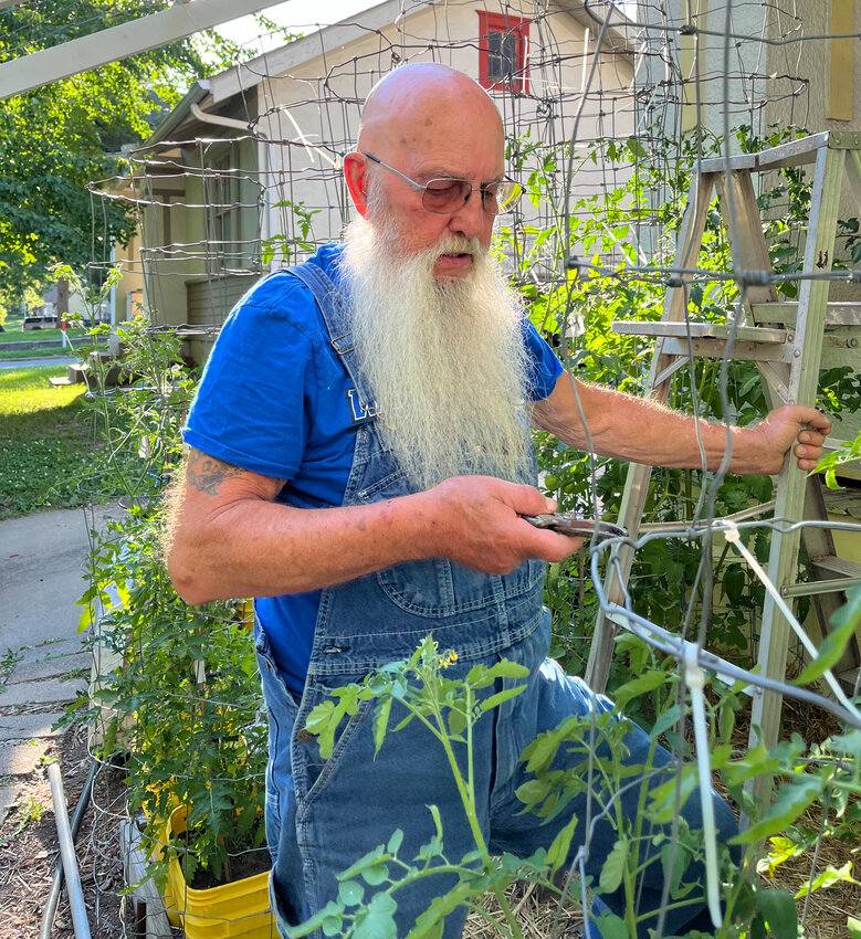 Harrisonville resident Ed Yoder has become known as “the tomato man of Pearl Street” because of the numerous varieties of tomatoes he grows in his yard. He has 37 varieties and 50 plants this year.