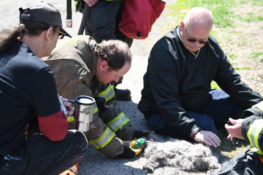 Central Cass Deputy Chief Scott Mathes attempts to help Phantom, a 23-year-old cat, after a house fire on Pearl Street in Harrisonville.