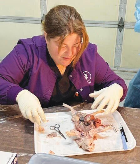 Sarah Krueger, DMV of Ulysses Veterinary Hospital, performed a dissection presentation on a small pig during a teaching lesson for Grant County EMS Advanced Emergency Medical Technician students Saturday, February 24.