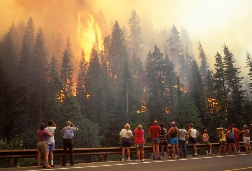 Onlookers in Tumwater Canyon experience equal parts fear and awe at the beginning of the Hatchery Creek Fire in 1994. The highway was closed shortly after this photo was taken.