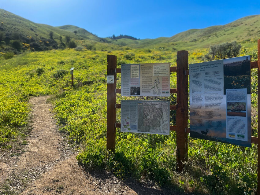 The Cashmere Canyons Preserve is a Chelan-Douglas Land Trust trail system located in Nahahum Canyon.