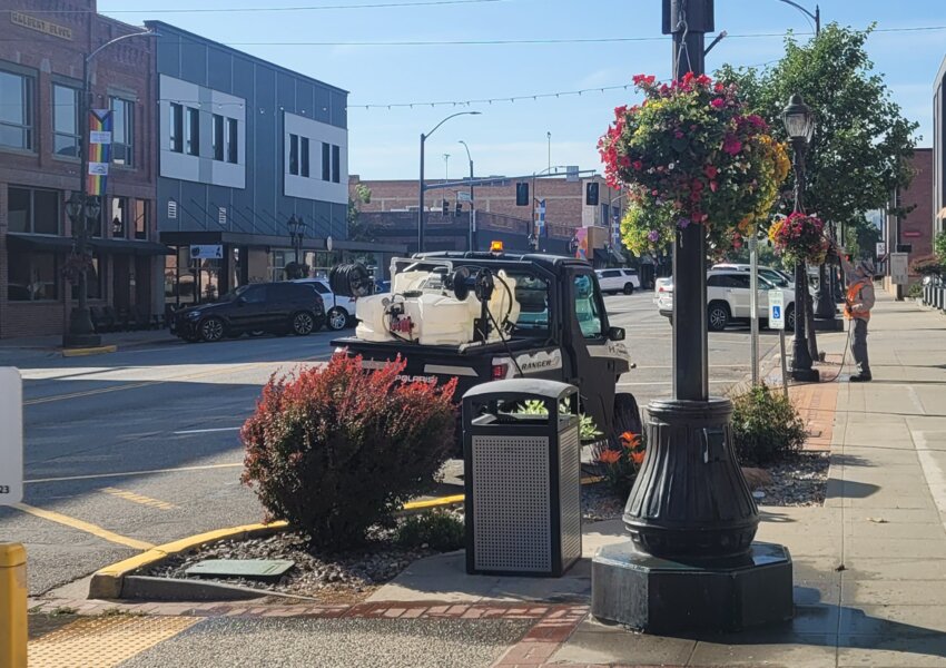 Zach Dempsey of Wenatchee gets out early before the heat to water the hanging flower pots along Wenatchee Avenue.