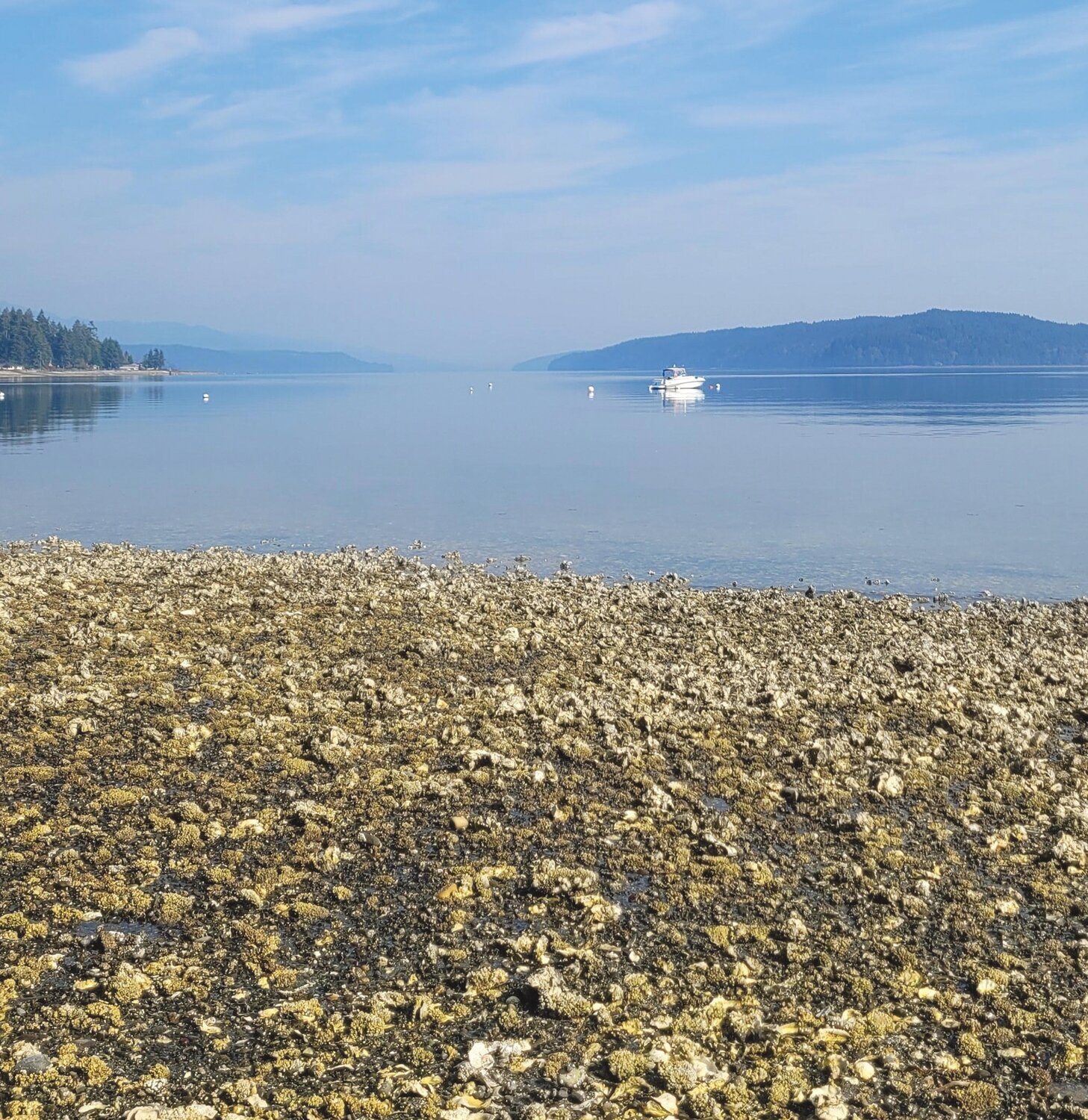 Potlach State Park and Hood Canal.
Courtesy Washington State Parks