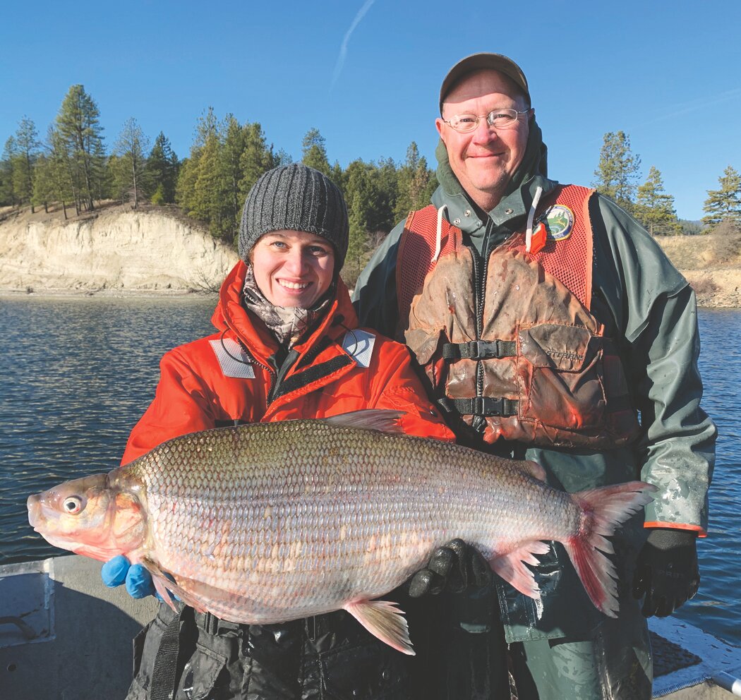 the Washington Outdoors Report: Fall And Winter Whitefish - Quad