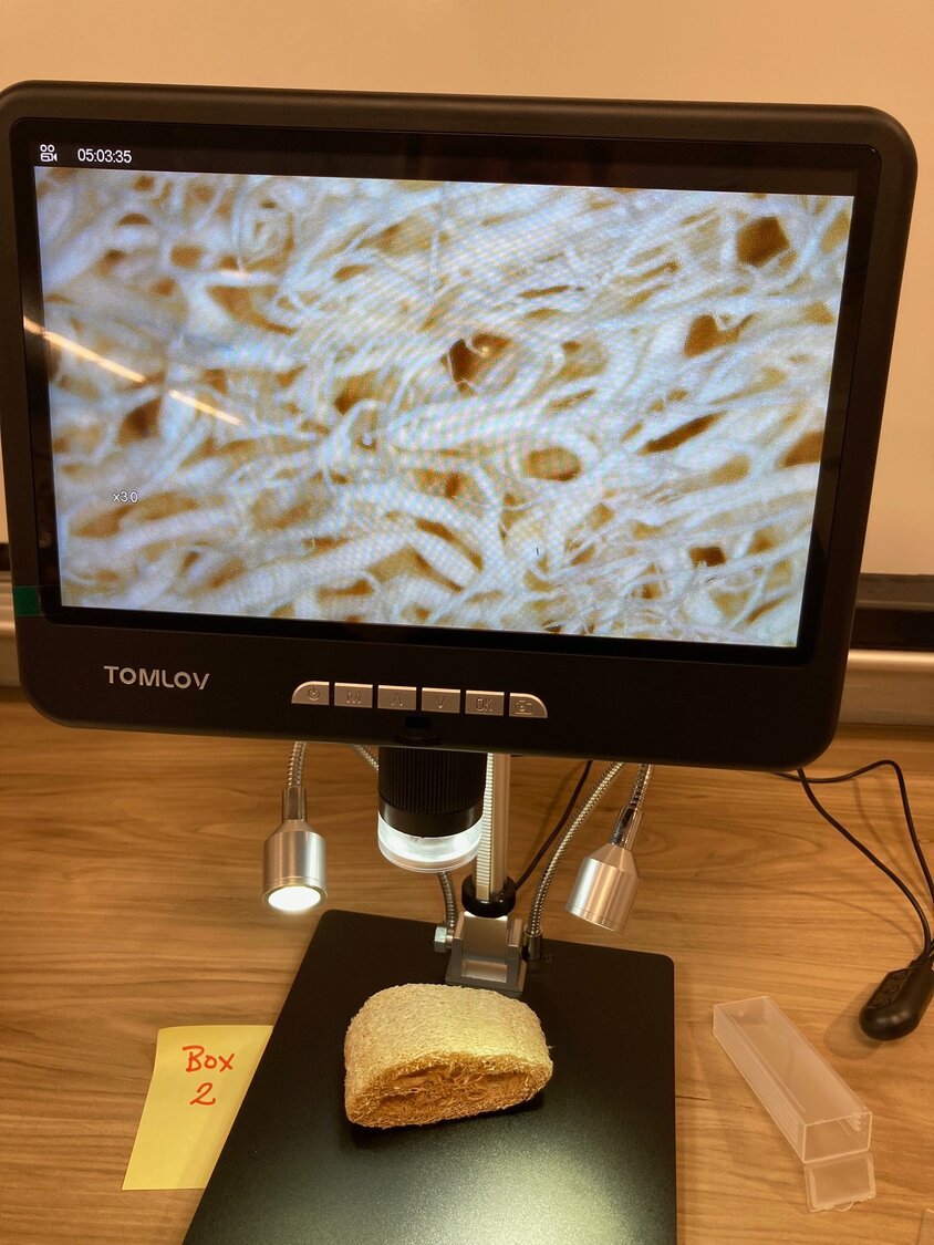 The Tomlov microscope’s screen displays the details of the fibers of a natural sponge.