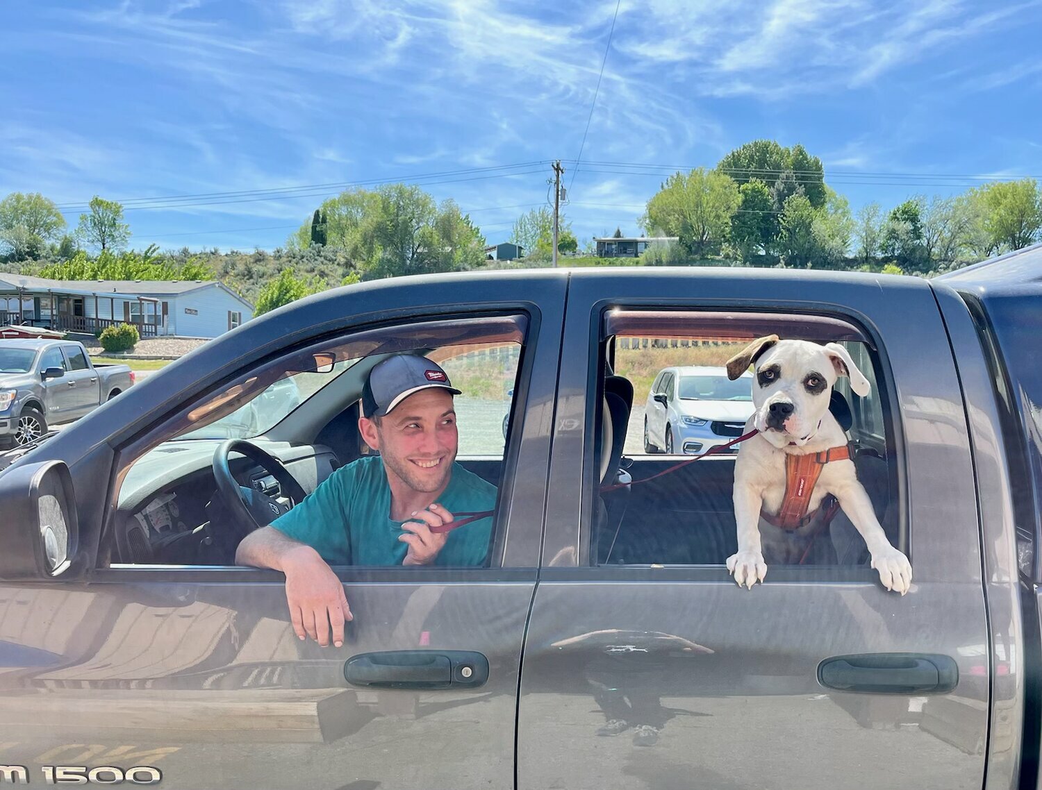 Free dog vaccine and microchip clinic coming to Brewster May 18