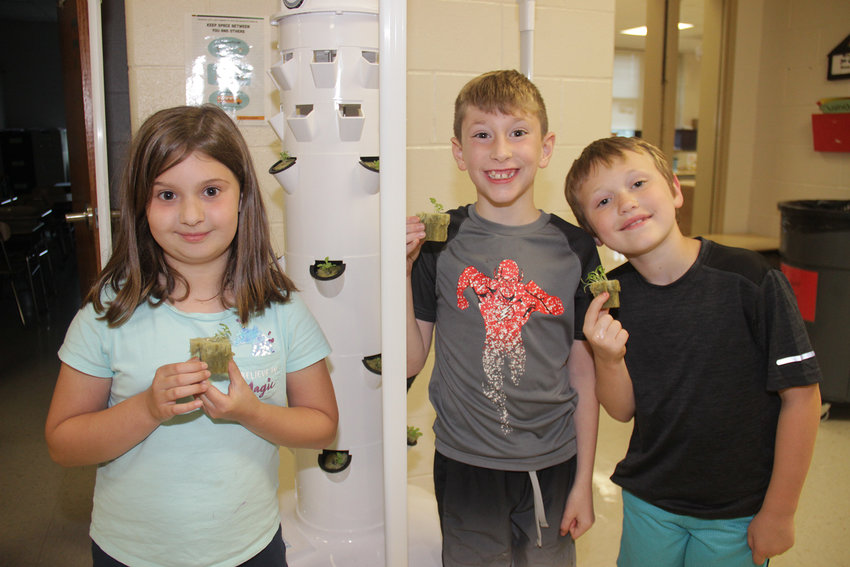 YOUNG GARDENERS &mdash; Students Liliana Clark, Jacob Brown and Brintin Rebura show the plant pods that they&rsquo;re putting into a tower garden at Rebecca Boone Elementary School June 24. The pods are comprised of seeds embedded in condensed wool &mdash; no soil required.      Adam Rollins photo.
