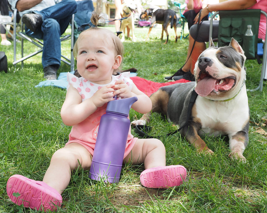 JUST BABYSITTING &mdash; Ayra Hughes, 1, Wright City, didn&rsquo;t mind the attention of American Bully Trixie, as she watched over and occasionally nuzzled the little girl Saturday, Aug. 21, during Woofstock, held at Diekroeger Park in Wright City to benefit Wags and Whiskers, formerly CCAC.