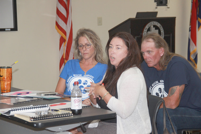 SUPPORTING SHELTER &mdash; Attorney Allison Sweeney testifies on behalf of No Time To Spare Animal Rescue during an Aug. 29 hearing before the Warren County Commission. To her left is shelter owner Carol Risley.