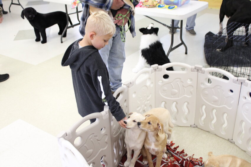 A young boy pets some of the rescue dogs that attended Woofstock on Oct. 28 in Wright City.