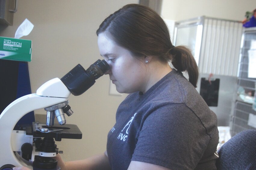 Makenna Gilbert looks through a microscope at the Hometown Veterinary Clinic in Jonesburg on Feb. 9. Gilbert is a 2020 Montgomery County High School graduate and is a Jonesburg resident.