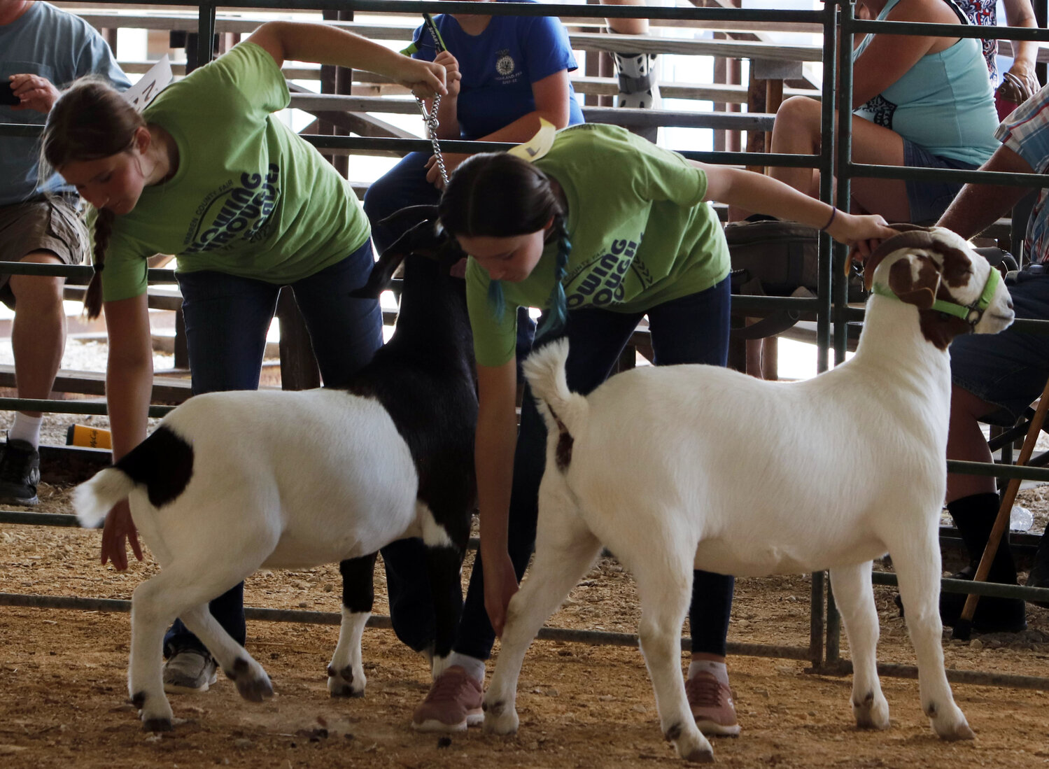 Abby Flake and Lyla Epperson show their goats during July 4 exhibition at the Warren County Fair.
