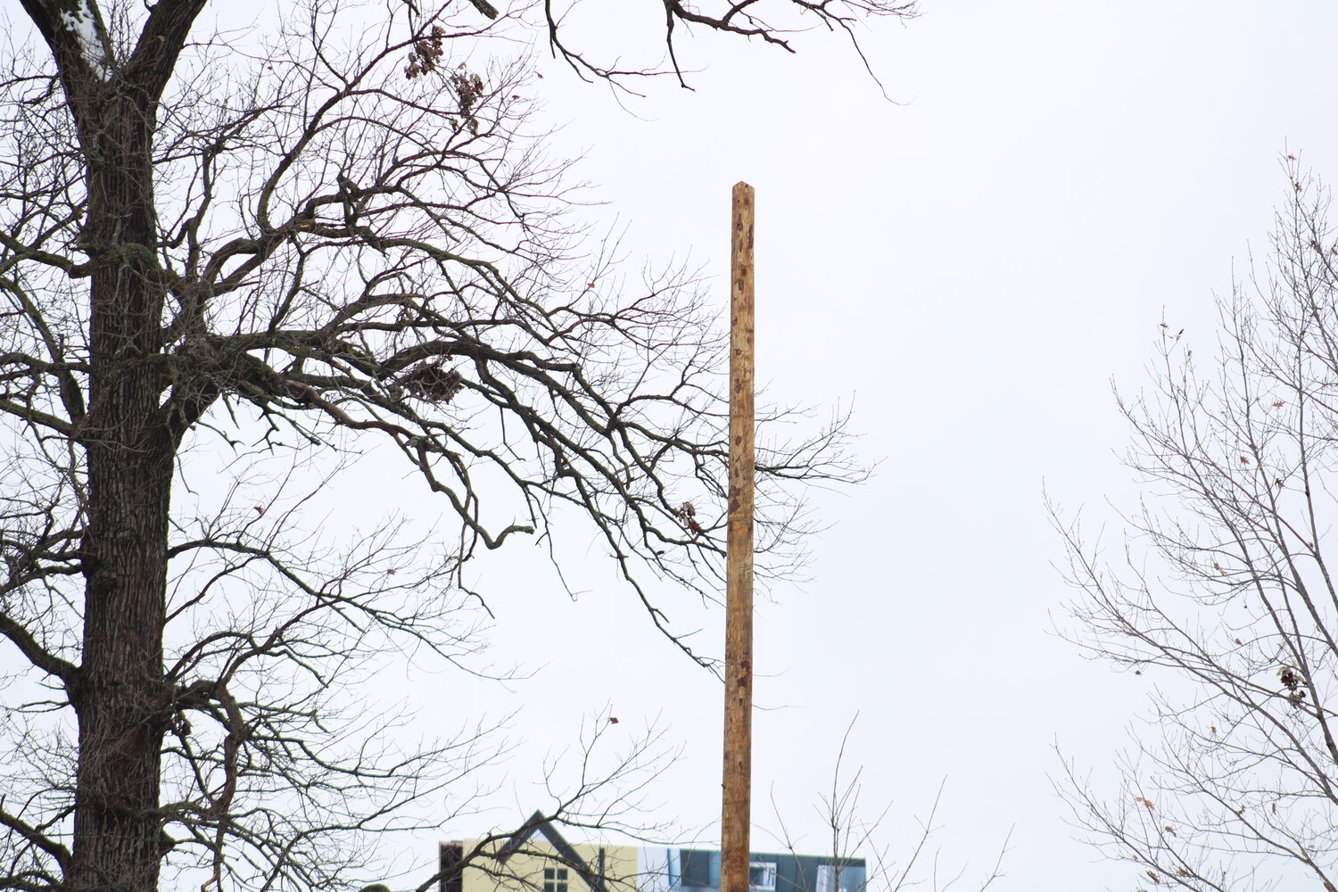 This is one of the new poles installed at Diekroeger Park in Wright City that will house the new permanent lighting for the park.