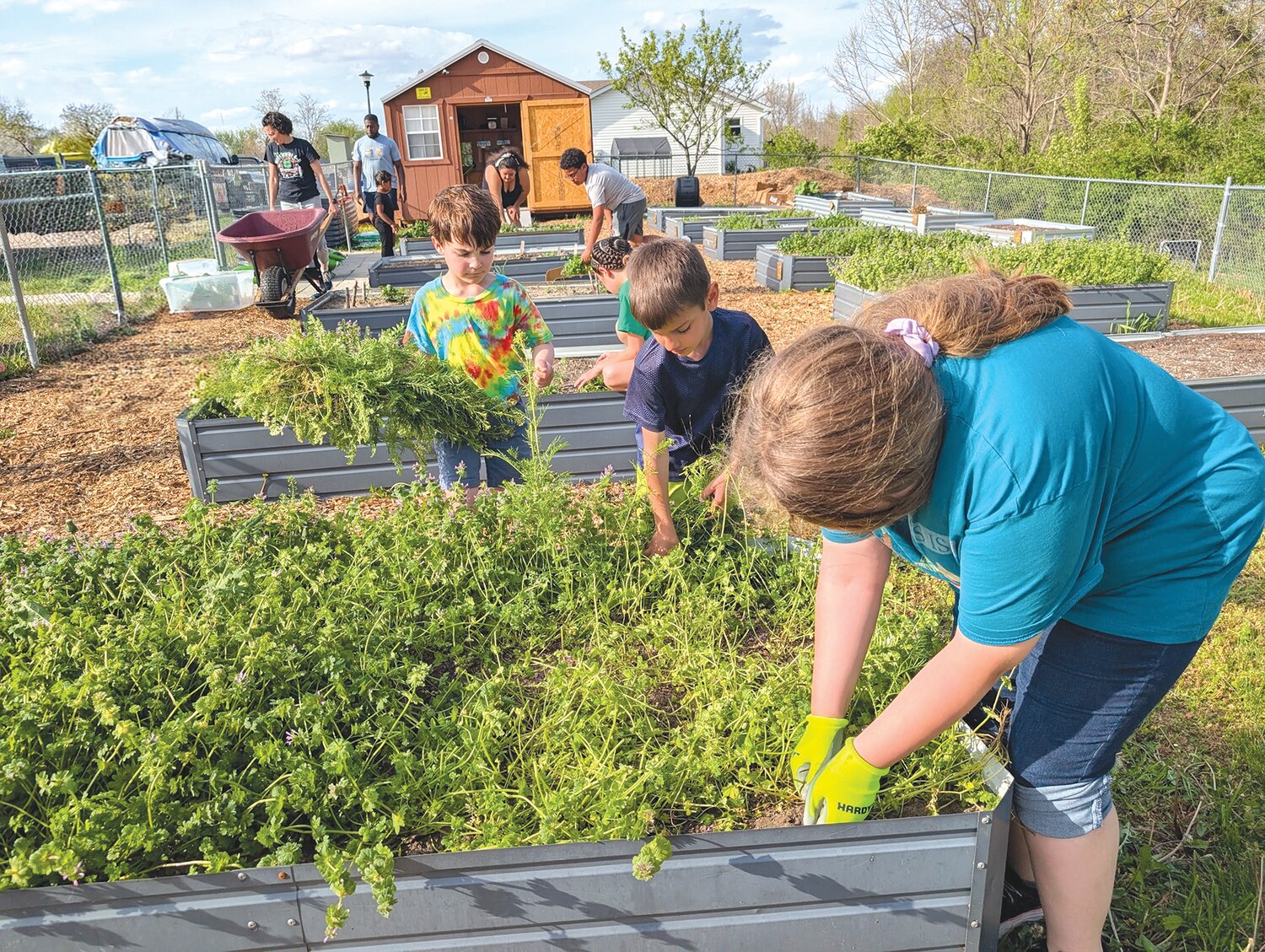 Truesdale Community Garden springs to life with volunteer effort - Warren County Record