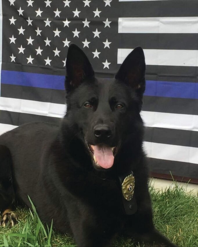 RIP ZEUS: Cranston Police Department announced the death of K-9 Zeus, who served the “department with great distinction, dedication and honor.”