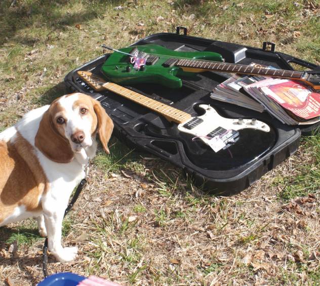 SNIFFING OUT A GOOD DEAL: Wilbur, a beagle and basset hound mix, attended the Yard Sale at the Oaklawn Grange and was particularly interested in the guitars for sale.