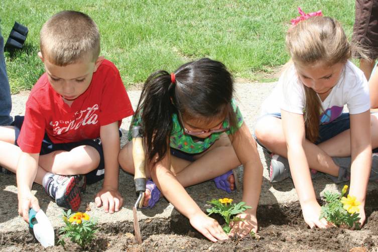 WORKING TOGETHER: Alec Howe, Kimora Alvarez and Ava Giorgi take turns planting their flowers in the new gardens at Garden City Elementary School.