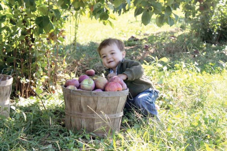 Maddox Jackvony checks out a bushel of apples at Dame Farm.