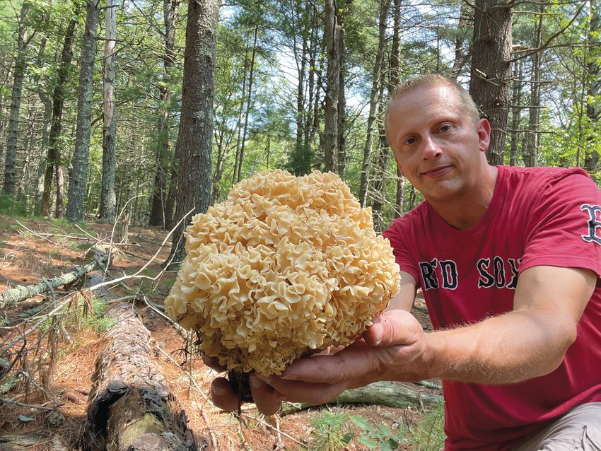 RARE FIND: Bill Ladd of West Warwick with an elusive Cauliflower mushroom.