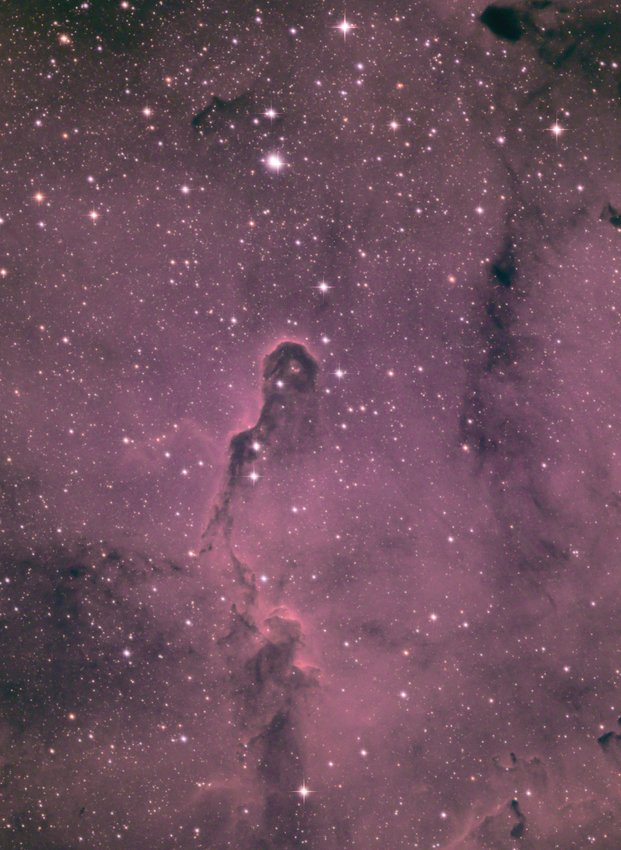 NEVER FORGET THIS IMAGE: The Elephant Trunk Nebula is located in the constellation Cepheus and is about 2,400 light-years from Earth.