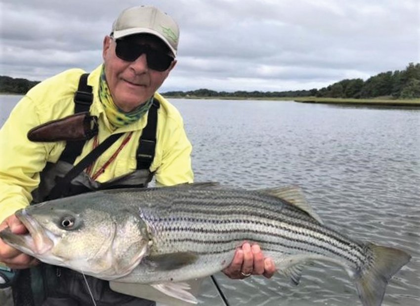 ON THE FLY: Fly fishing expert and guide Ed Lombardo with a striped bass he caught on Narrow River, Narragansett last week.