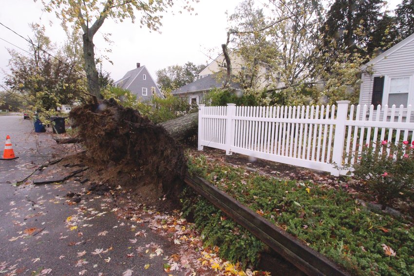 THE AFTERMATH: An uprooted tree lies across a fence and yard on Potters Avenue in  Greenwood on Wednesday. (Warwick Beacon photo)