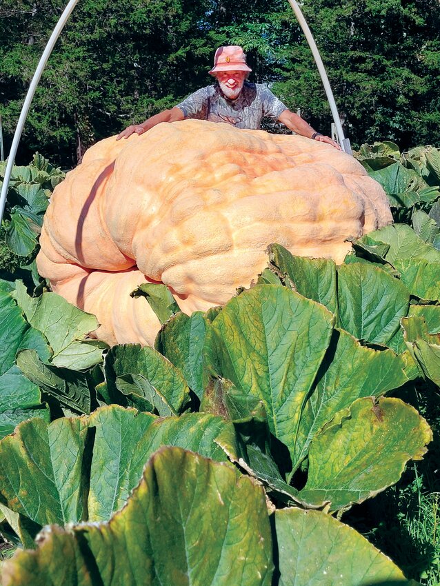IDITAROD OF GARDENING: Steve Sperry shows off his final harvest of the year, soon to be known as the Sperry XXXX (the X&rsquo;s will be replaced by the pumpkin&rsquo;s weight, after this weekend&rsquo;s Rhode Island state weigh-in). The gargantuan gourd is estimated to weigh well over 2,000 pounds. The giant pumpkin, grown off Hopkins Avenue in Johnston, is the fourth of the season raised by Sperry.