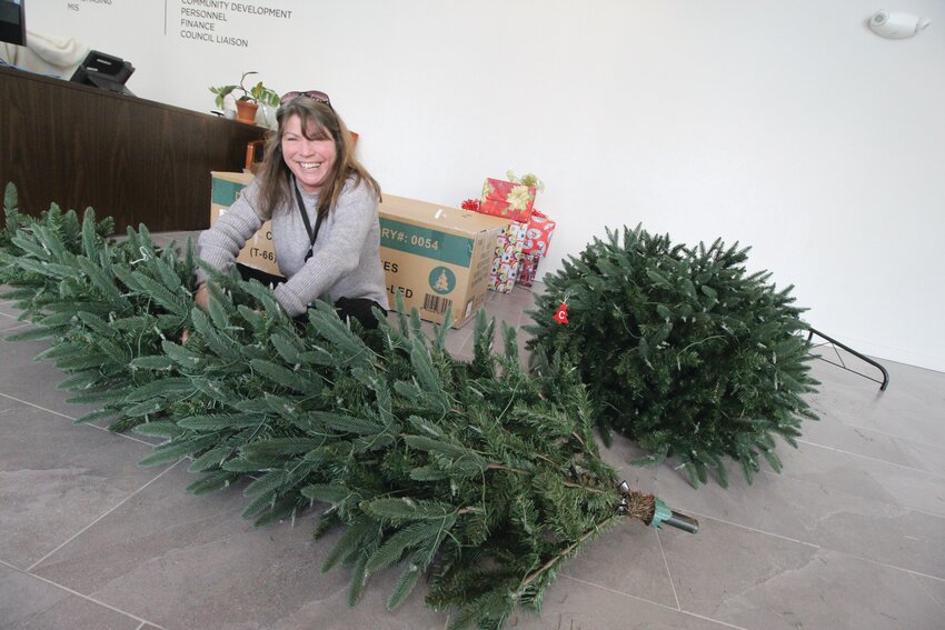 Between answering calls and giving directions to visitors, Gina Dooley, receptionist at the City Hall annex at the Saw Tooth Building in Apponaug packaged up the artificial tree and Christmas decorations last week. City sanitation crews are still picking up errant Christmas trees for an unspecified period.