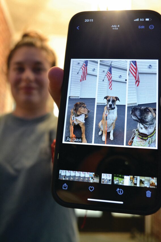 MY THREE PUPS: Tanya Rocchio lives on Memorial Avenue in Johnston. After animal control showed up to investigate barking complaints, she discovered the town had the authority to remove and possibly destroy her animals if they barked “excessively.” She said her three dogs — Harper, Reagan and Luciano — are more like family members than pets. So she reached out to the mayor.